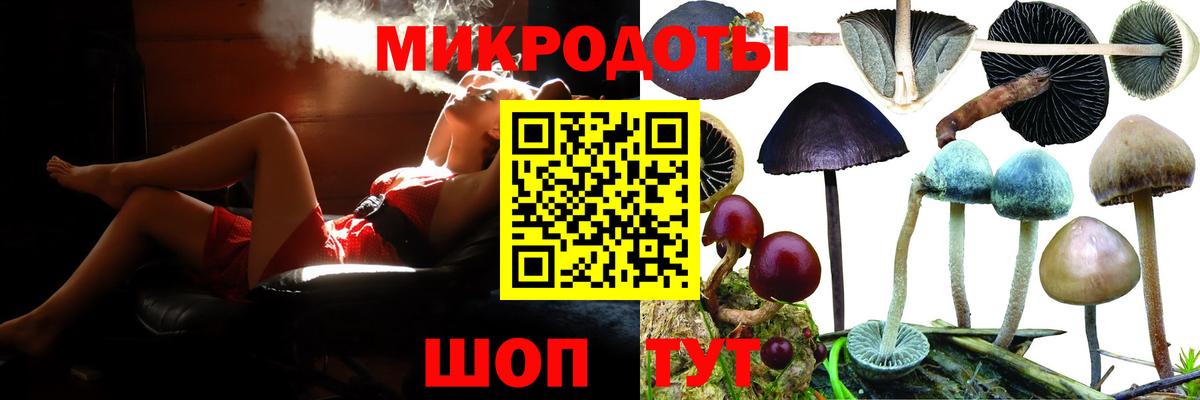 Заводоуковск  Галлюциногенные грибы мицелий  Вход с VPN 